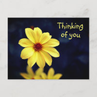 Dahlia Jaune Élégante Fleur Pensée de Vous