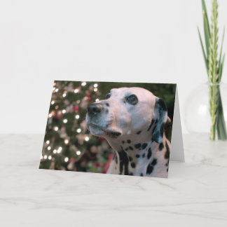 Cartes Pour Fêtes Annuelles Dalmate de Noël