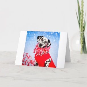 Cartes Pour Fêtes Annuelles Dalmate de Noël