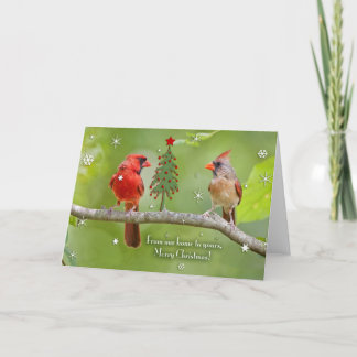 Cartes Pour Fêtes Annuelles De chez nous à la vôtre, Joyeux Noël (Cardinaux)