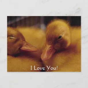 Cartes Pour Fêtes Annuelles De mignons petits canards