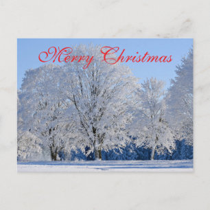 Cartes Pour Fêtes Annuelles Décor rouge simple et élégant Neige Joyeux Noël