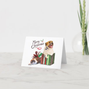 Cartes Pour Fêtes Annuelles D'Eddie et d'Agnès