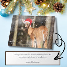 Deer Christmas Snowy Woodland Forest