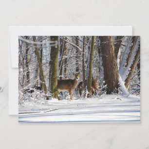 Cartes Pour Fêtes Annuelles Deer in Snowy Eagle Creek City Park