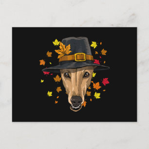 Cartes Pour Fêtes Annuelles Déguisement de Pèlerin Greyhound de Thanksgiving H