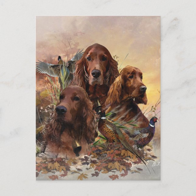 Cartes Pour Fêtes Annuelles Des couteaux irlandais avec faisans - Chasse à la  (Devant)