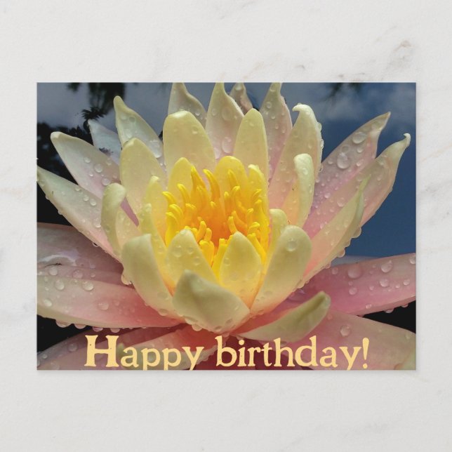 Cartes Pour Fêtes Annuelles Design/Lys d'eau, Nymphée/Joyeux Anniversaire/ (Devant)