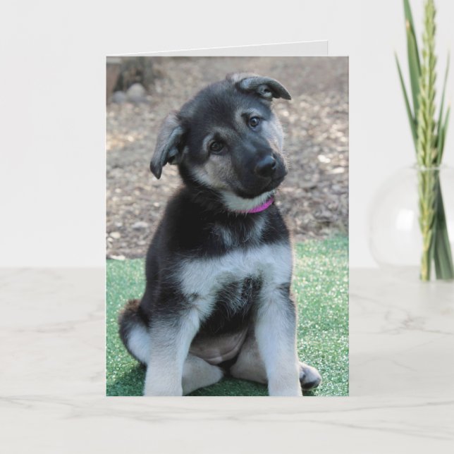 Cartes Pour Fêtes Annuelles Désolé German Shepherd Cutest Puppy Card (Devant)