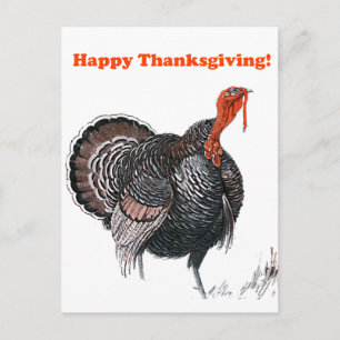 Cartes Pour Fêtes Annuelles Dessin de Turquie Vintage bon thanksgiving