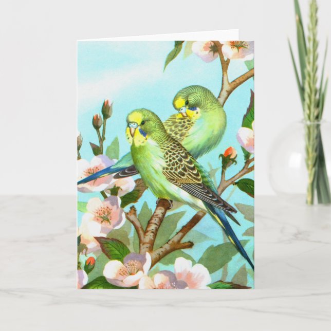 Cartes Pour Fêtes Annuelles Deux budgets (Devant)