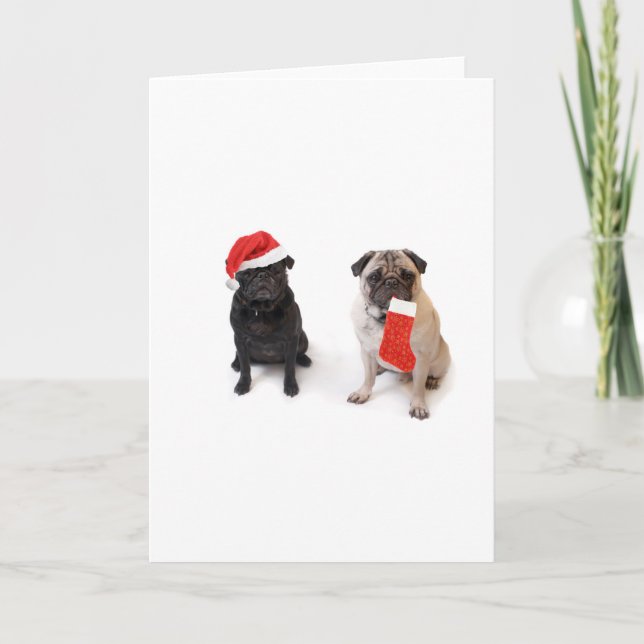 Cartes Pour Fêtes Annuelles Deux carlins de Noël (Devant)