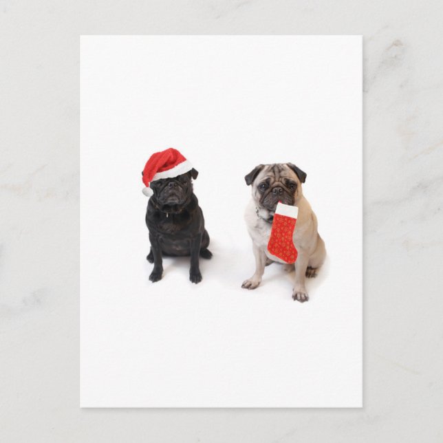 Cartes Pour Fêtes Annuelles Deux carlins de Noël (Devant)