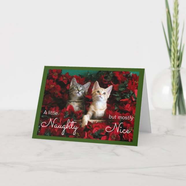 Cartes Pour Fêtes Annuelles Deux chatons coquins et Nice à Poinsettias (Devant)