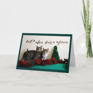 Cartes Pour Fêtes Annuelles Deux chatons pour Noël