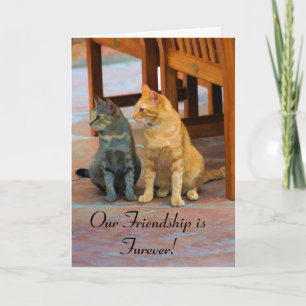 Cartes Pour Fêtes Annuelles Deux chats