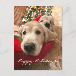 Cartes Pour Fêtes Annuelles Deux Chiens d'or de vacances Noël