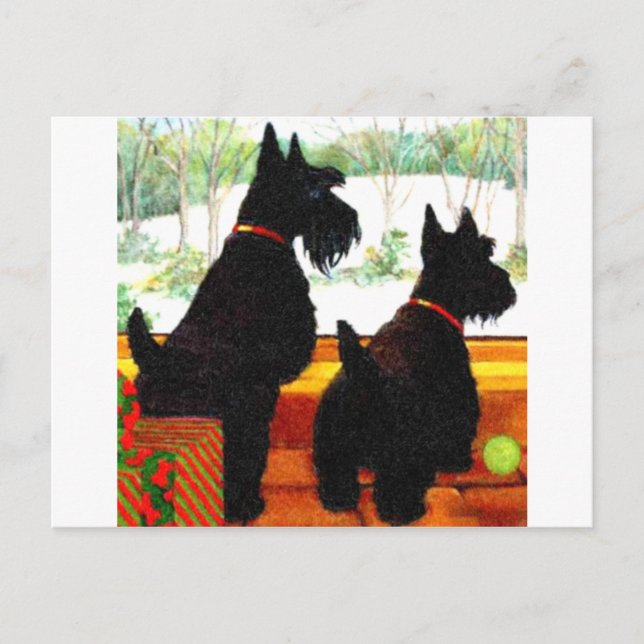 Cartes Pour Fêtes Annuelles Deux Chiens Écossais À Noël (Devant)