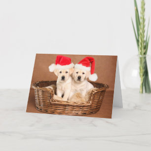 Cartes Pour Fêtes Annuelles Deux Chiots de Noël du Laboratoire Jaune