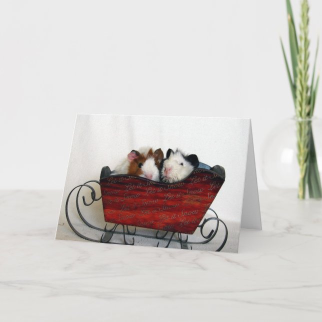 Cartes Pour Fêtes Annuelles Deux cobayes dans Sleigh, Noël (Devant)