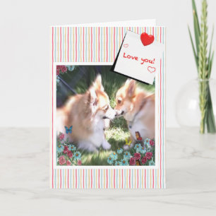 Cartes Pour Fêtes Annuelles Deux Corgis rencontrent Valentine