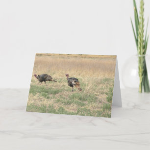 Cartes Pour Fêtes Annuelles Deux dindons