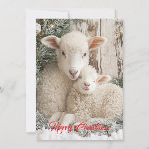 Cartes Pour Fêtes Annuelles Deux mignons moutons