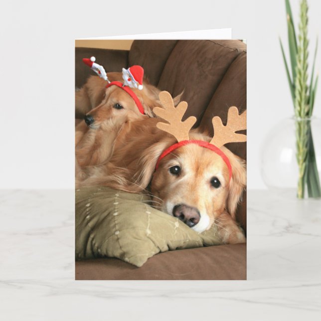 Cartes Pour Fêtes Annuelles Deux Récupérateurs d'or de Noël (Devant)
