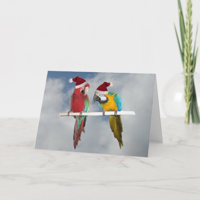 Cartes Pour Fêtes Annuelles Deux Santas macaw (Devant)