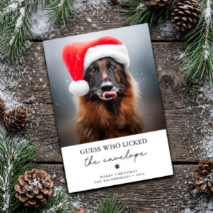 Cartes Pour Fêtes Annuelles Devinez qui a léché l'enveloppe Drôle de chien Noë