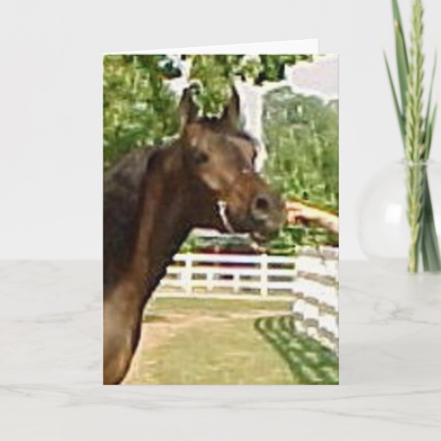 Cartes Pour Fêtes Annuelles Diadhems Aziza (Devant)