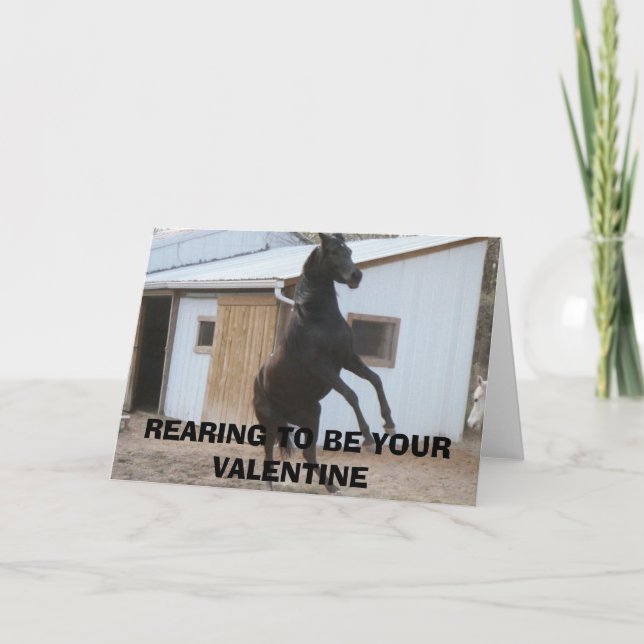 CARTES POUR FÊTES ANNUELLES DIADHEMS RÊVE, EN ÉTANT VOTRE VALENTINE (Devant)