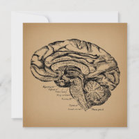 Diagramme du cerveau vintage Art d'anatomie médica