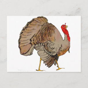 Cartes Pour Fêtes Annuelles Dinde d'action de la couleur complète