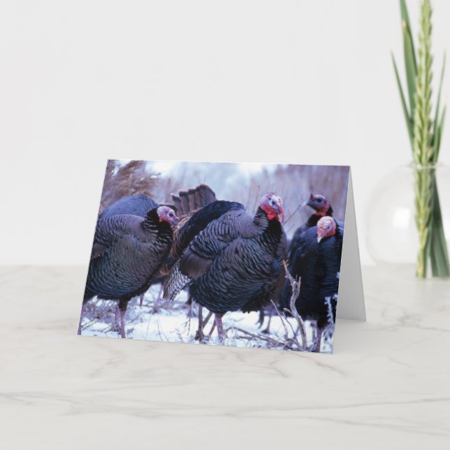 Cartes Pour Fêtes Annuelles Dindes sauvages (Devant)