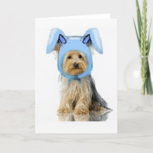 Cartes Pour Fêtes Annuelles Ditzy Dogs~Carte pour notes original~Yorkie