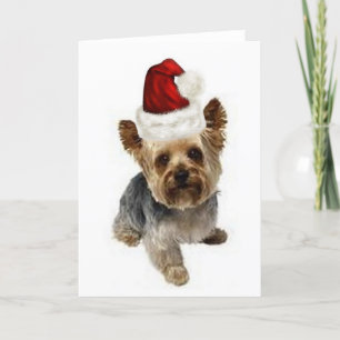 Cartes Pour Fêtes Annuelles Ditzy Dogs~Carte pour notes original~Yorkie~Noël