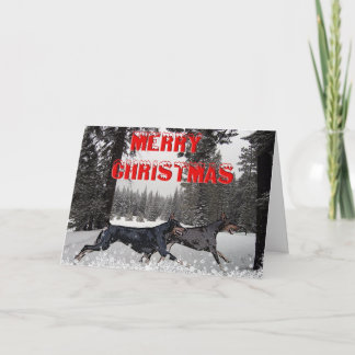 Cartes Pour Fêtes Annuelles Doberman de Snow