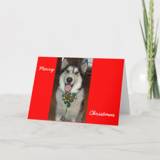 Cartes Pour Fêtes Annuelles Doc