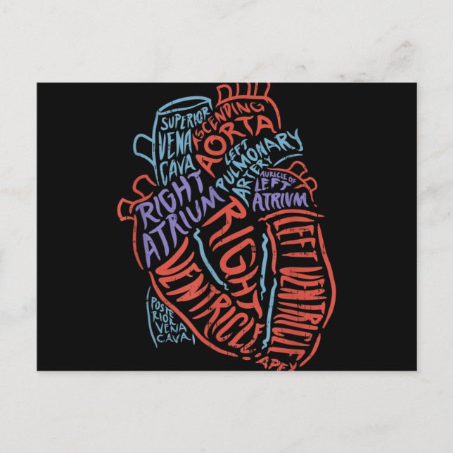 Cartes Pour Fêtes Annuelles Docteur en anatomie cardiologue Biologie Médicale (Devant)