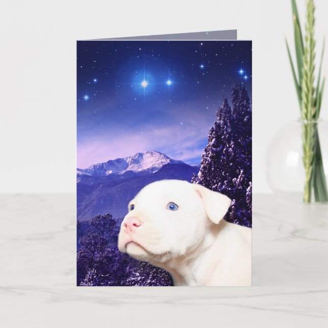 Cartes Pour Fêtes Annuelles Dog is God Spelled Backwards. (Devant)