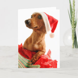 Cartes Pour Fêtes Annuelles Dog on present with Santa