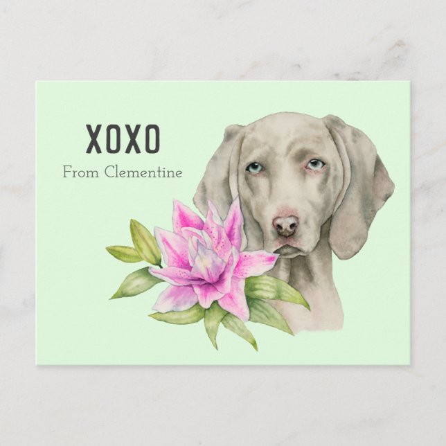 Cartes Pour Fêtes Annuelles Dog | Valentine (Devant)