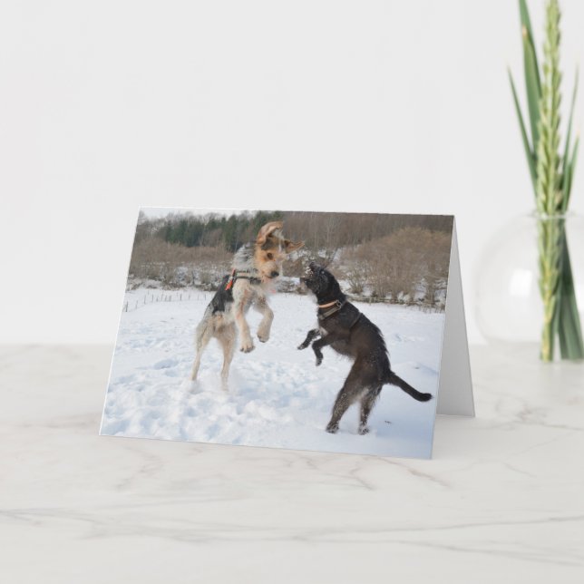 Cartes Pour Fêtes Annuelles Dogs having fun in the Snow Christmas (Devant)