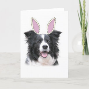 Cartes Pour Fêtes Annuelles Dogs~Original Ditzy Notecard~Border Collie~Easter