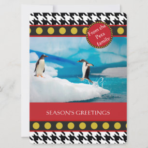 Cartes Pour Fêtes Annuelles Dogtooth, gamme de Noël Houndstooth