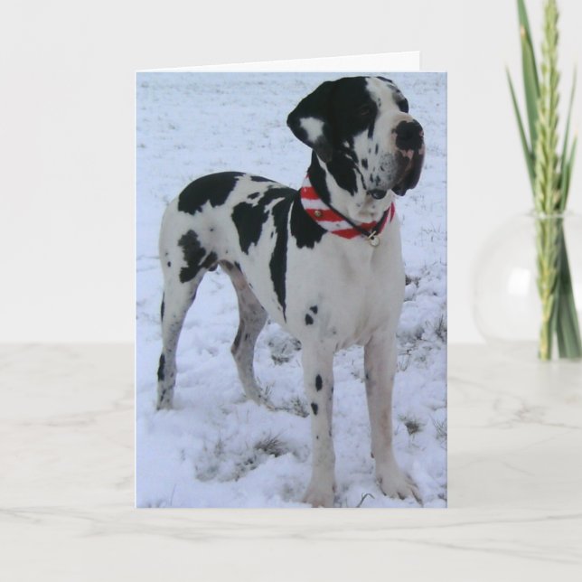 Cartes Pour Fêtes Annuelles Dogue allemand, Noël, Nouveau An, lustigesGedicht (Devant)
