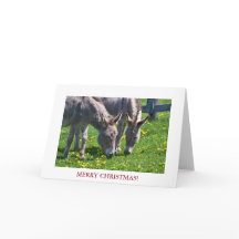 Donkey animal de Noël