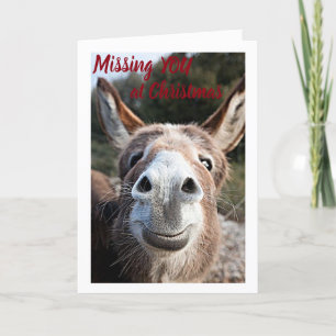 CARTES POUR FÊTES ANNUELLES DONKEY MANQUE SON **FRÈRE** TRÈS TRISTE