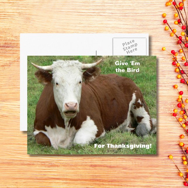 Cartes Pour Fêtes Annuelles Donnez-leur l'oiseau pour l'action de grâces (Give 'Em the Bird For Thanksgiving Holiday Postcard)